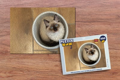 Puzzel Een Ragdoll kat in een plastic emmer - Legpuzzel - Puzzel 500 stukjes