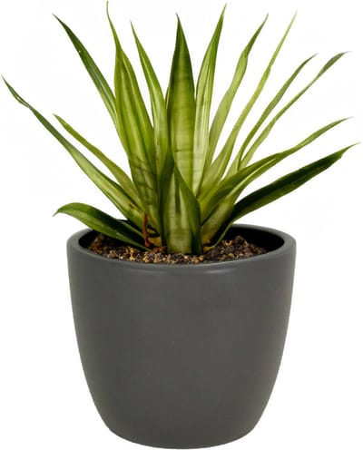 1x floran bloempot - mat antraciet grijs - keramiek - kamerplant - d28 x h25 cm- plantenpotten binnen