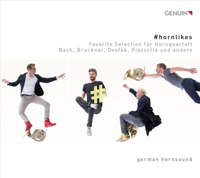 Hornlikes