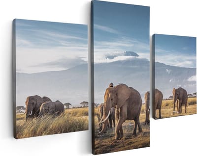 Artaza Canvas Schilderij Drieluik Groep Olifanten Lopen Voor De Bergen - 90x60 - Foto Op Canvas - Canvas Print