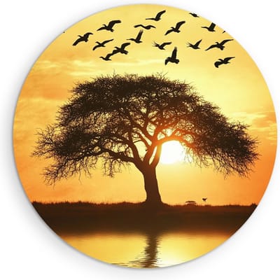 Saammp Muurcirkel Hout - Vogel bij boom - Dieren - Bloemen - Ø 90 - Wandcirkel - Wanddecoratie Cirkel - muurdecoratie Woonkamer - Slaapkamer decoratie - Rond Schilderij