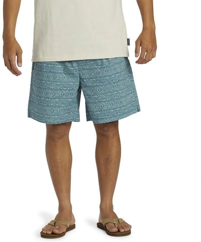 Quiksilver Aqyws03234 Taxer Korte Broek Grijs XS Man