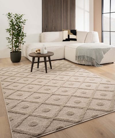 Scandinavisch vloerkleed - Arc Diamond beige 300x400