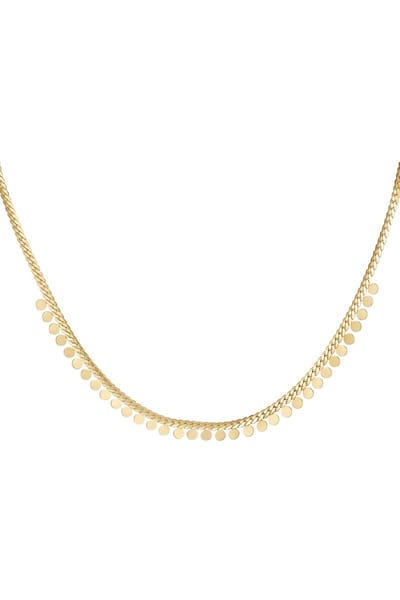Goudlief Ketting muntjes - Stainless Steel - Roestvrij staal - Verkleurt niet