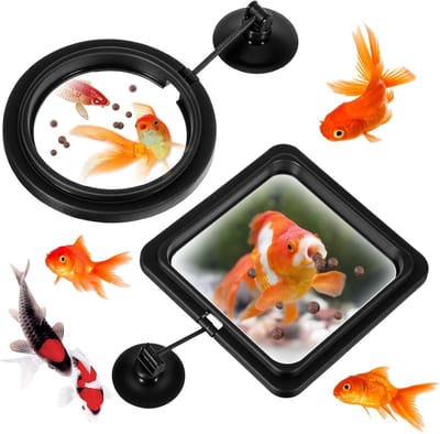 2 stuks - Drijvende voederring - Visvoerringen - Aquarium voederring - Drijvende visvoer ring - Voerring voor vissen - Voerring voor aquarium - met zuignap - visvoeraccessoires - rond en vierkant - voor guppy, goudvissen, schildpad - zwart