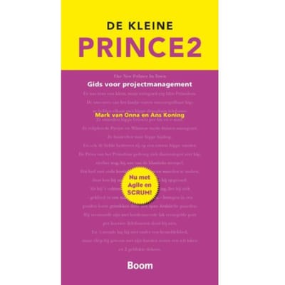 De Kleine Prince 2 - Mark van Onna