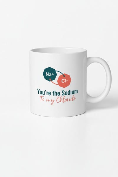 Mok met Chemische Liefdesquote 'You're the Sodium To my Chloride' | Romantisch Scheikunde Cadeau | Valentijn