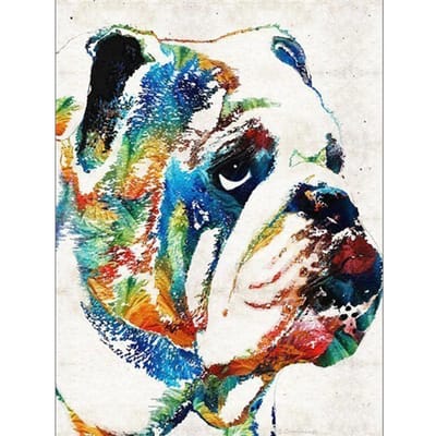 DIY 5D Diamond schilderij hond mozaïek kruissteek diamant borduurwerk Rottweiler dier muursticker 20X30CM black