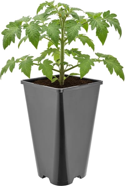 Garronda Hoge vierkante kunststof bloempot met drainagegaten voor tuin (Zwart, 13,5 x 13,5 x 23 cm (3L)) GD-KW-HS