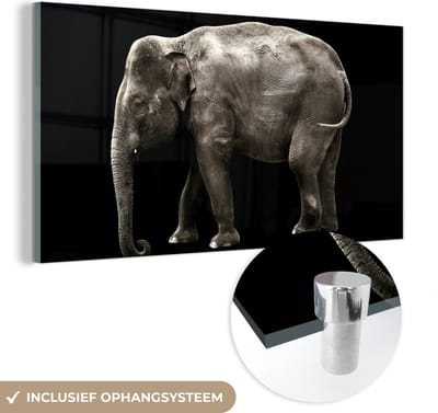 MuchoWow® Glasschilderij 40x20 cm - Schilderij acrylglas - Olifant - Wilde dieren - Zwart - Foto op glas - Schilderijen