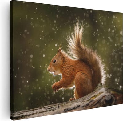 Artaza Canvas Schilderij Rode Eekhoorn - 40x30 cm - Klein - Wanddecoratie Boom - Muurdecoratie Dieren - Kamer Accessoires