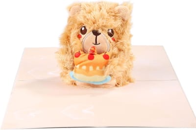 Pop-Up Verjaardagskaart - Pluche Dolkaart - 3D Groetkaart - Gelukkige Verjaardag Kaarten met Enveloppen - Cadeau voor Moeder, Zus, Vrouw