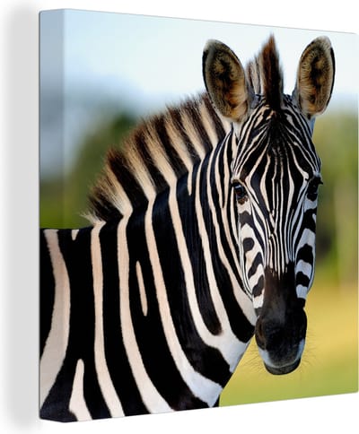 Canvas Schilderij Close-up zebra - 20x20 cm - Wanddecoratie
