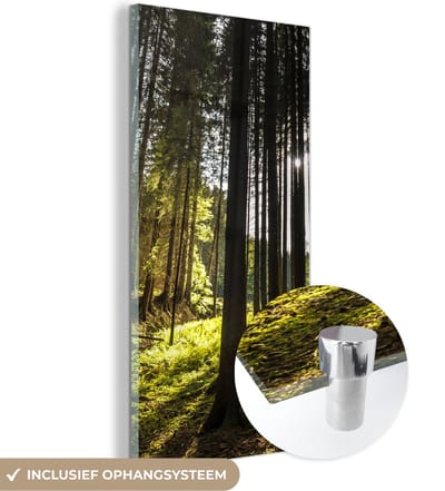 MuchoWow® Glasschilderij 20x40 cm - Schilderij acrylglas - Boom - Natuur - Zon - Bos - Foto op glas - Schilderijen