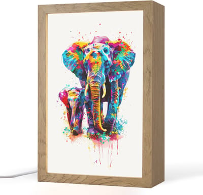 Nachtlampje 20x30 cm - Kinder lampje - Olifanten - Dieren - Verf - Kleurrijk - Tafellamp kinderkamer - Slaapkamer lamp - Bedlamp kinderen - Kinderlampje stopcontact - Wandlamp babykamer - Nachtlampjes