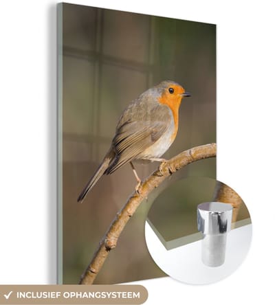 MuchoWow® Glasschilderij 30x40 cm - Schilderij acrylglas - Roodborstje - Vogel - Natuur - Foto op glas - Schilderijen