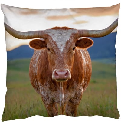 Sierkussens - Kussentjes Woonkamer - 50x50 cm - Longhorn - Landschap - Zonsondergang