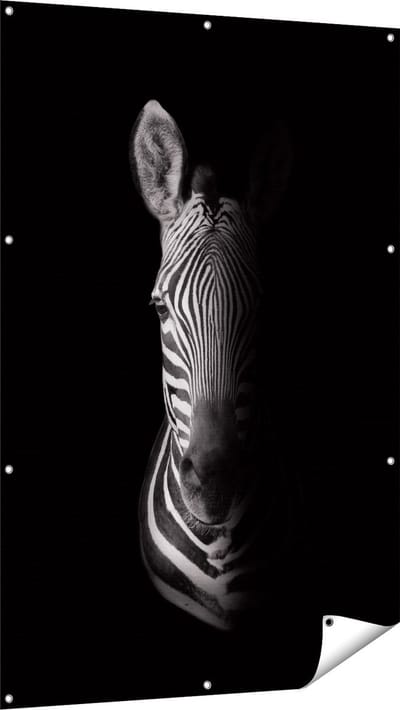 Gards Tuinposter Halve Zebra - Zwart Wit - 100x150 cm - Tuindoek - Tuindecoratie - Wanddecoratie buiten - Tuinschilderij