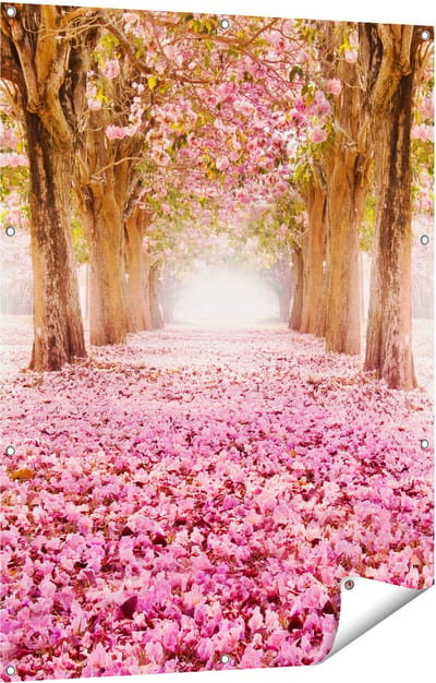 Gards Tuinposter Romantische Bomen Tunnel met Roze Anjers - 90x120 cm - Tuindoek - Tuindecoratie - Wanddecoratie buiten - Tuinschilderij