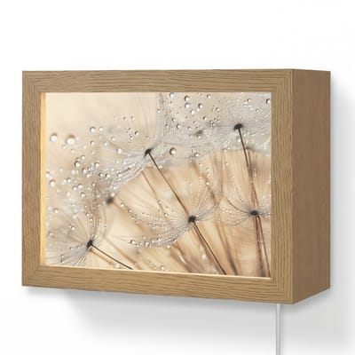 Wandlamp 20x15 cm - Oplaadbaar - Paardenbloem - Abstract - Natuur - Beige - Wandlampen binnen woonkamer - Slaapkamer lamp met kabel - Decoratieve nachtlamp - Vloerlamp snoer