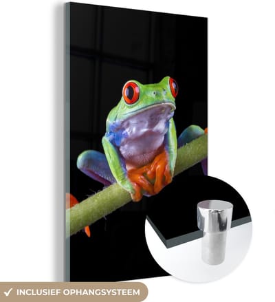 MuchoWow® Glasschilderij 120x180 cm - Schilderij acrylglas - Kikker - Plant - Zwart - Foto op glas - Schilderijen