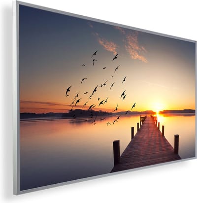 Infrarood Verwarmingspaneel 300W met fotomotief en Smart Thermostaat (5 jaar Garantie) - Steg Vogels