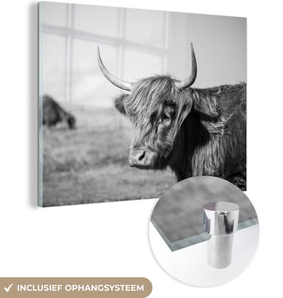 MuchoWow® Glasschilderij 160x120 cm - Schilderij acrylglas - Schotse Hooglander - Dieren - Zwart - Wit - Foto op glas - Schilderijen