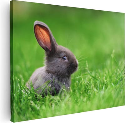 Artaza Canvas Schilderij Konijn In Gras - 40x30 cm - Klein - Wanddecoratie Dierenkop - Muurdecoratie Bos - Schilderijen Op Canvas Dieren