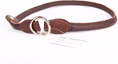 Dog's Companion Leren Sliphalsband - Lengte: 50 cm x 8 mm - Bruin