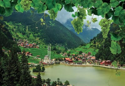 Fotobehang Lake Mountains Grapes Nature | XL - 208cm x 146cm | 130g/m2 Vlies