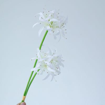Spinlelie - wit - zijden bloemen - 3 stelen - onderhoudsvrij - 50 cm - kunstbloemen
