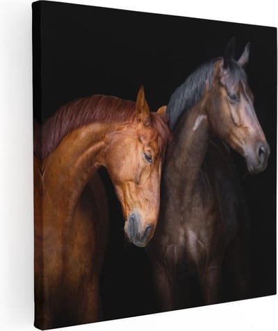 Artaza Canvas Schilderij Paarden - 80x80 cm - Wanddecoratie Dieren - Muurdecoratie Woonkamer - Schilderijen Op Canvas