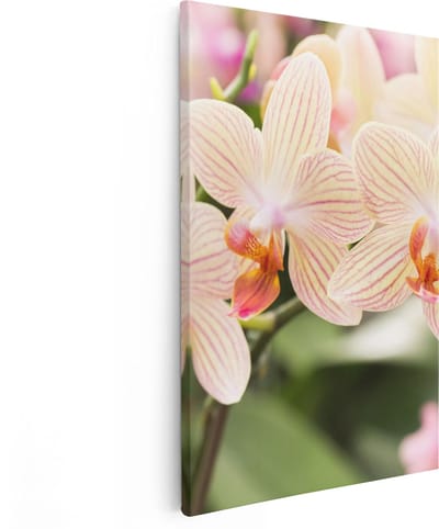 Artaza Canvas Schilderij Orchidee - 80x120 cm - Groot - Wanddecoratie Bloemen - Muurdecoratie Botanisch - Schilderijen Op Canvas