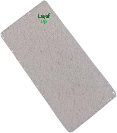 LeafUp® Puimsteen Pedicure Blok – Eeltverwijderaar Handen & Voeten – Wit – 10x5x2 cm (B6)