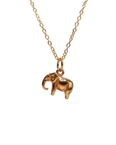 Ava & Imber | Elephanti Ketting Goud | Gouden Ketting Olifant Hanger | Waterproof 18k PVD Gecoat Stainless Steel Ketting in Cadeaudoosje met Hangertje