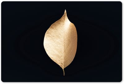 Placemats 45x30 cm - Placemat kunststof - 1 stuk - Bladeren - Goud - Zwart - Planten - Luxe - Borden onderleggers - Decoratie voor op tafel - Keuken tafeldecoratie accessoires - Vinyl onderlegger - Tafelversiering