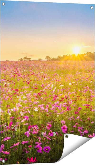 Gards Tuinposter Bloemenveld met Roze Kosmos - 60x90 cm - Tuindoek - Tuindecoratie - Wanddecoratie buiten - Tuinschilderij