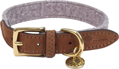 Fantail Hondenhalsband Blend Lichtgrijs - Hondenhalsband - 30 cm