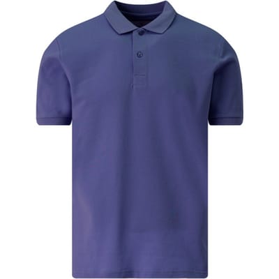 The BLUEPRINT Premium Polo Heren Blauw