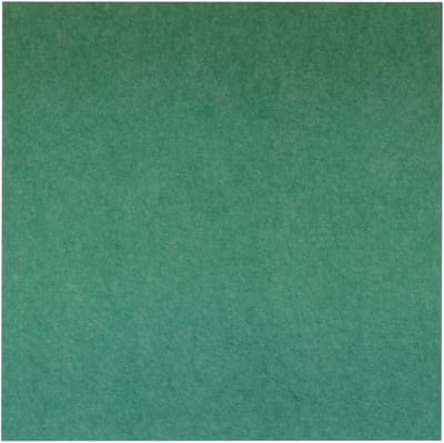 IVOL Akoestisch wandpaneel PET-vilt - 100x100 cm - Groen