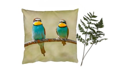 Sierkussens - Kussentjes Woonkamer - 40x40 cm - Vogels - Dieren - Bijeneter