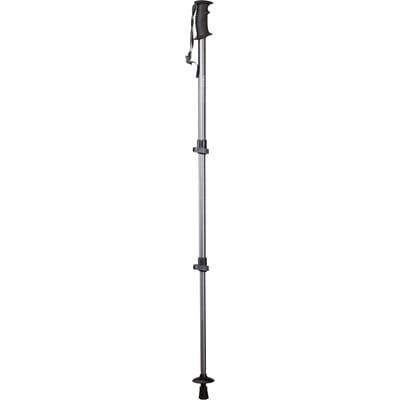 Walker Lock Paal Enkel Verstelbare LeverLock Wandelen Outdoor Stok