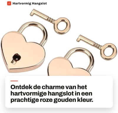 Dailygoods- Hartslot Hoogwaardige Metaal - Hangslot met Sleutel - Set van 2 - Voor Koffer/Journaal/Sieradenbox - Duurzaam en Mooi