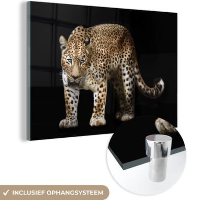 MuchoWow® Glasschilderij 60x40 cm - Schilderij acrylglas - Luipaard - Wild - Zwart - Foto op glas - Schilderijen
