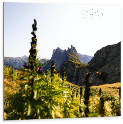Dibond - Rotsen met Begroeiing  - 100x100cm Foto op Aluminium (Met Ophangsysteem)