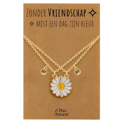 BFF Ketting voor 2 'Zonder Vriendschap mist een dag zijn kleur' - Magnetische Bloem - Vriendschapsketting op Cadeau Kaartje - 45cm + 5cm verstelbaar - Goudkleurig - Best Friends Hanger - Pax Amare