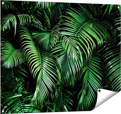 Gards Tuinposter Tropische Palm Bladeren - Groen - 100x80 cm - Tuindoek - Tuindecoratie - Wanddecoratie buiten - Tuinschilderij
