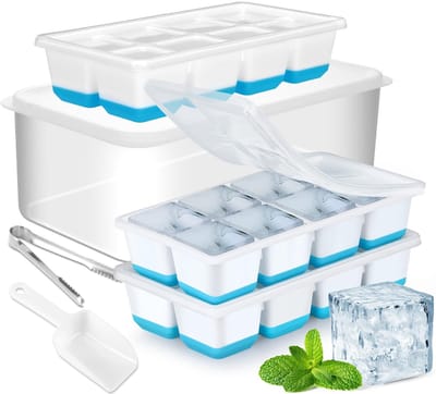 Dailygoods- IJsblokjeshouder Grote Set - 3 IJsblokjesvormen met Deksels - IJshouder - IJstang - IJsschep - Roestvrij Stalen Rietjes - Ijsvorm