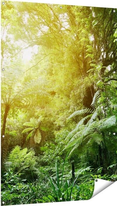 Gards Tuinposter Tropische Jungle met Zonneschijn - 100x150 cm - Tuindoek - Tuindecoratie - Wanddecoratie buiten - Tuinschilderij