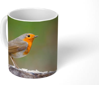 Mok - Koffiemok - Dieren - Vogel - Roodborstje - Mokken - 350 ML - Beker - Koffiemokken - Theemok